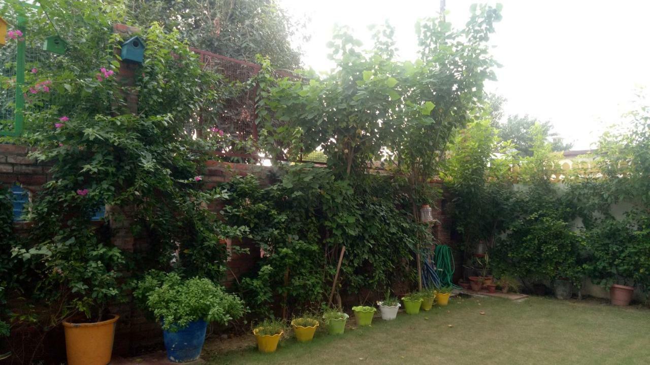 Coral Country Homestay Agra  Buitenkant foto